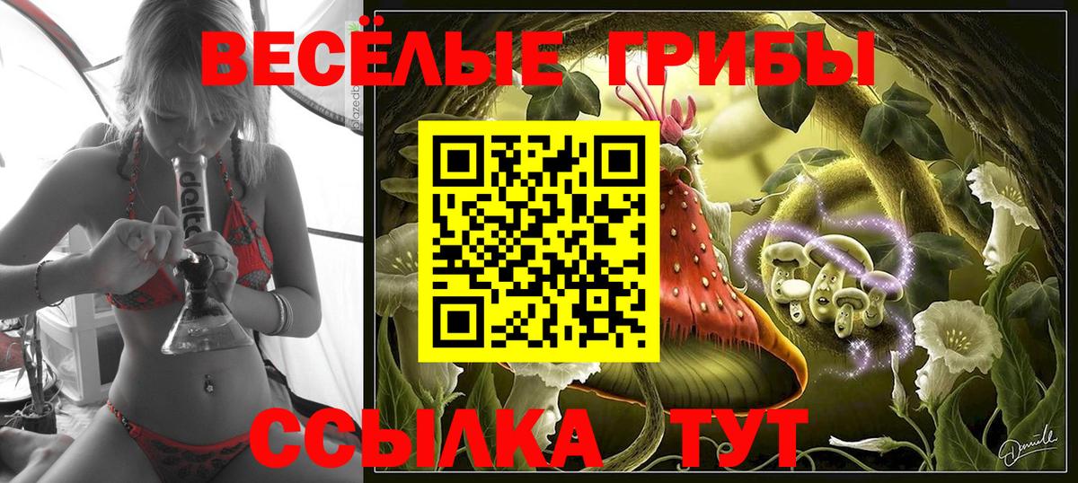 Псков  Галлюциногенные грибы GOLDEN TEACHER  Вход с VPN  Псилоцибиновые грибы ЛСД 